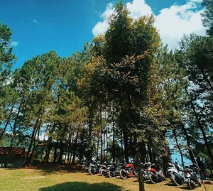 Bukit Pinus Paseban Camp